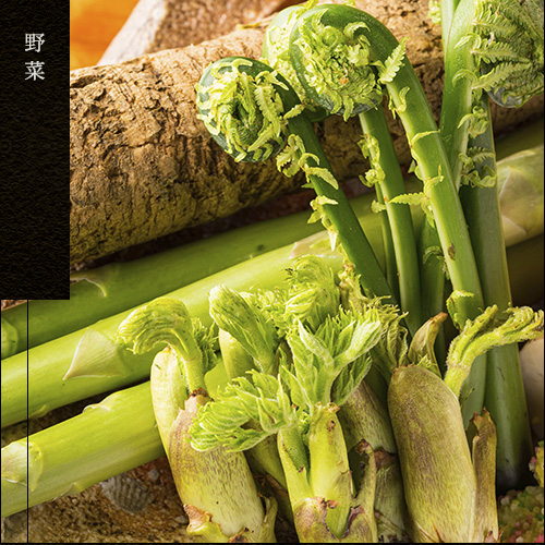 野菜
